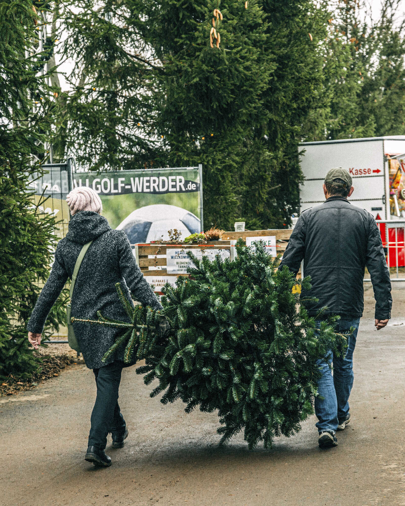 Das kostet der Weihnachtsbaum 2023 AFZ DerWald 202023