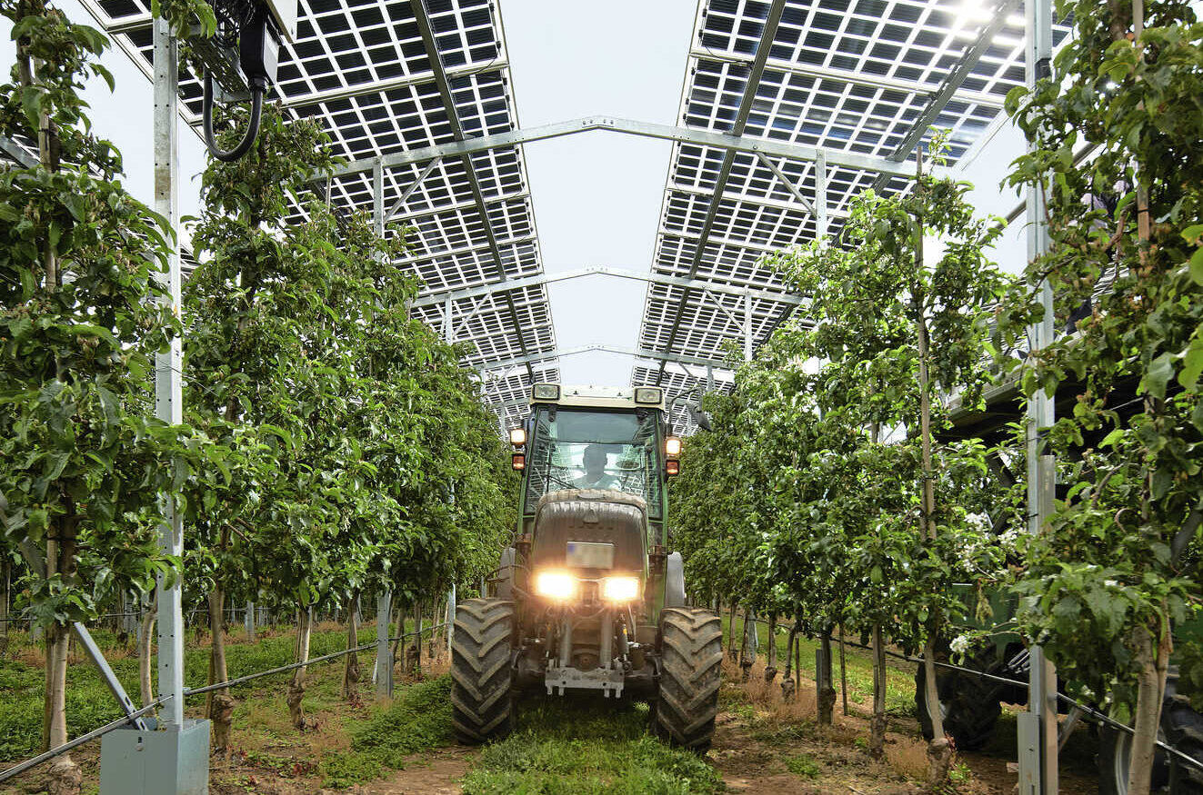 Obstbau AgriPVAnlage statt agrarheute 42023