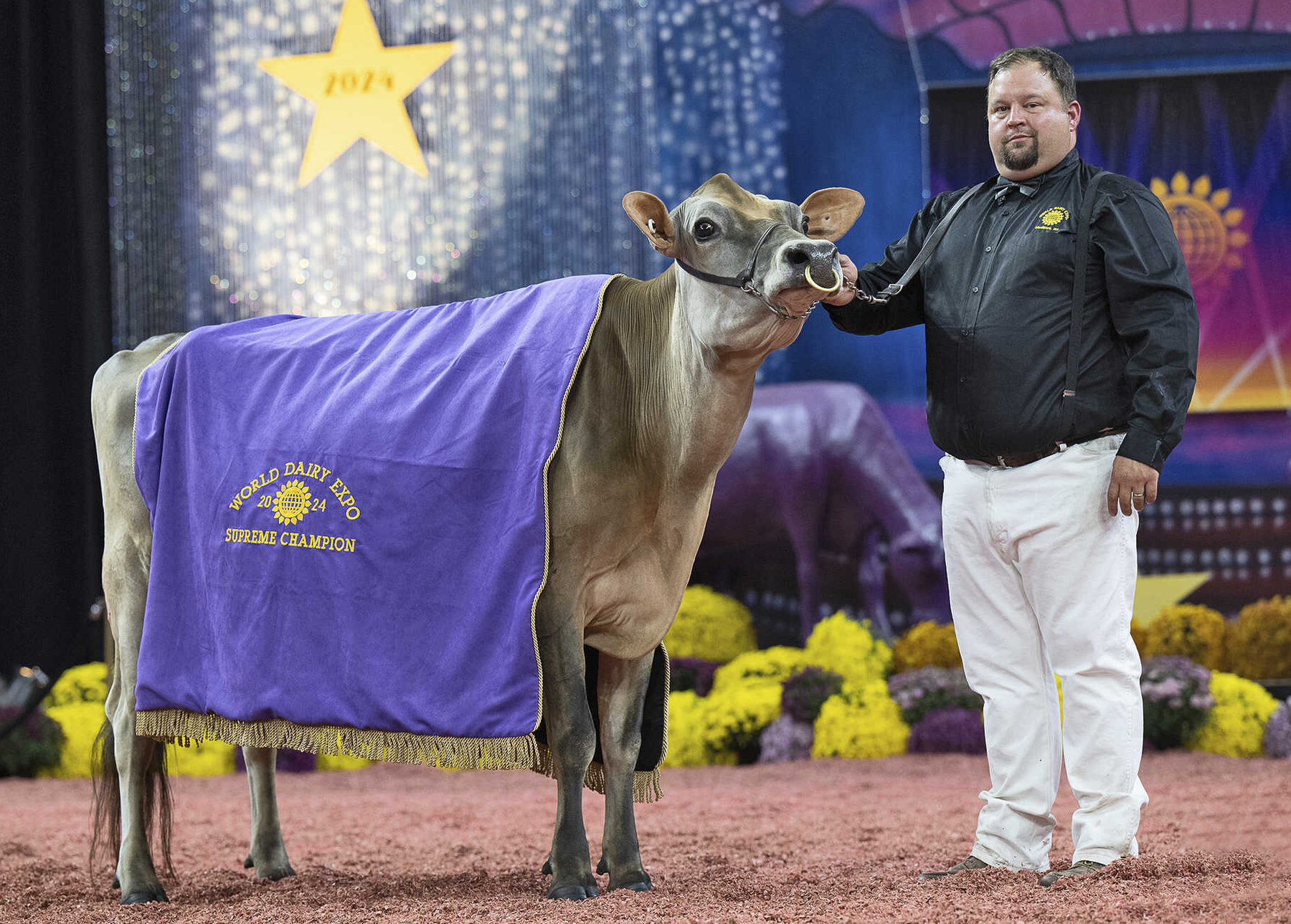 Supreme champion hotsell