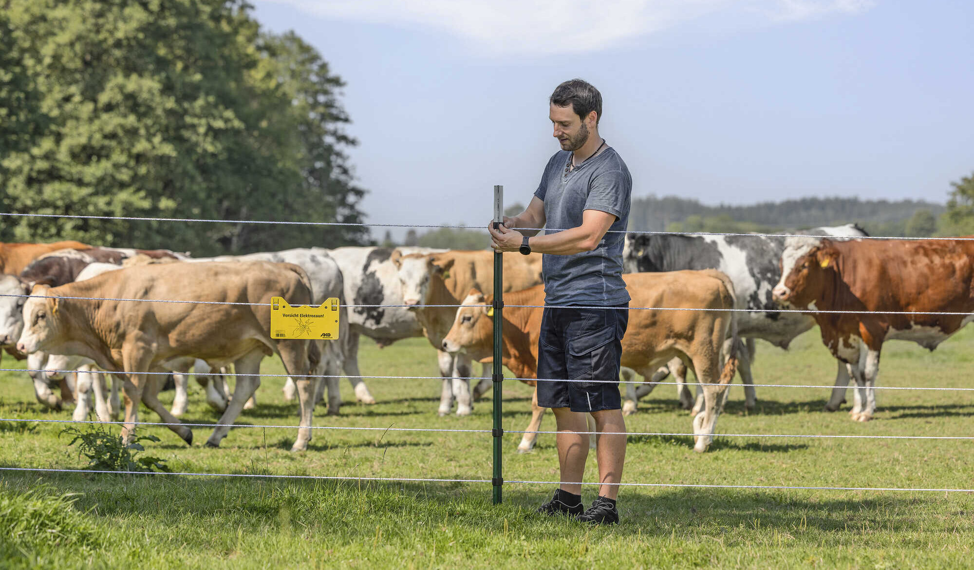 Herd protection: How farmers protect their grazing animals - | agrarheute ...
