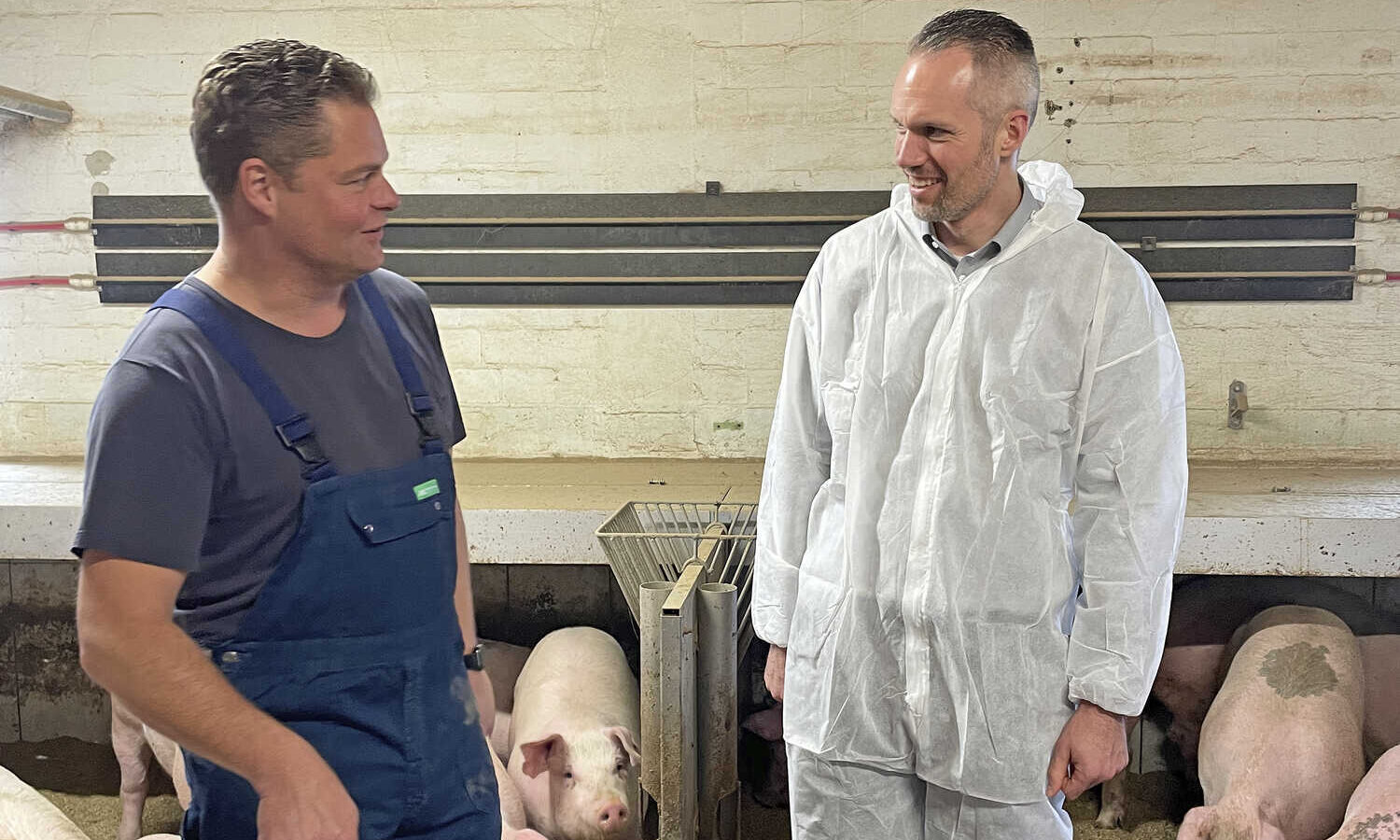 The contracts have been made: Money for more animal welfare in pigpens! - ...