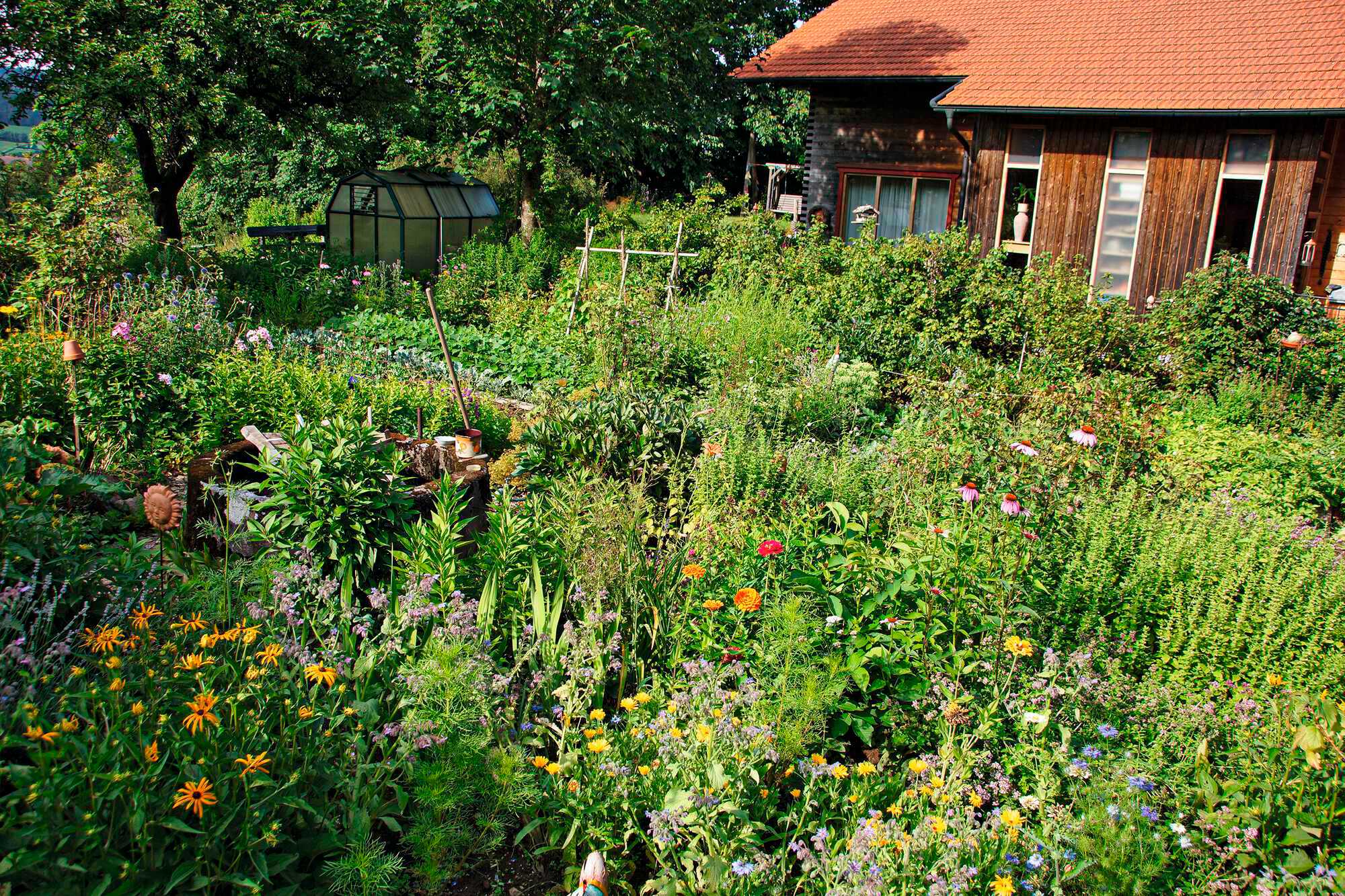 Naturnaher Nutzgarten Bayerisches Landwirtschaftliches Wochenblatt 31