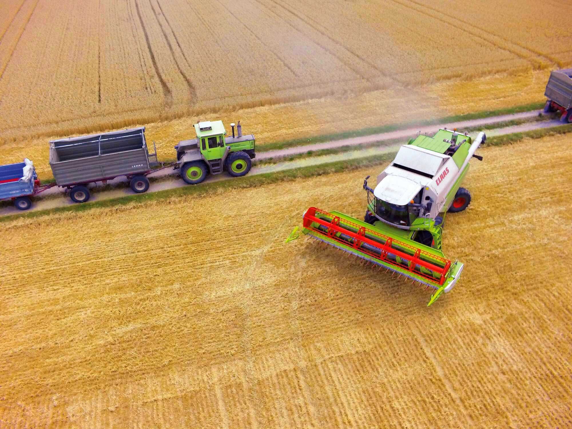 Darf der Pächter das? Bayerisches Landwirtschaftliches Wochenblatt 33