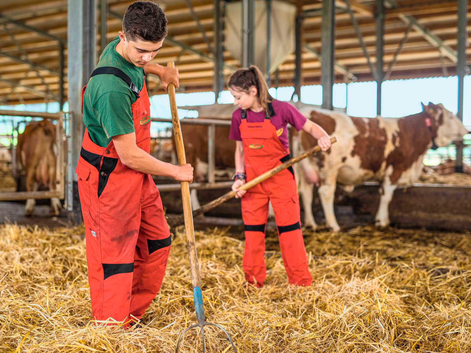 Landwirt als Beruf attraktiv Bayerisches Landwirtschaftliches