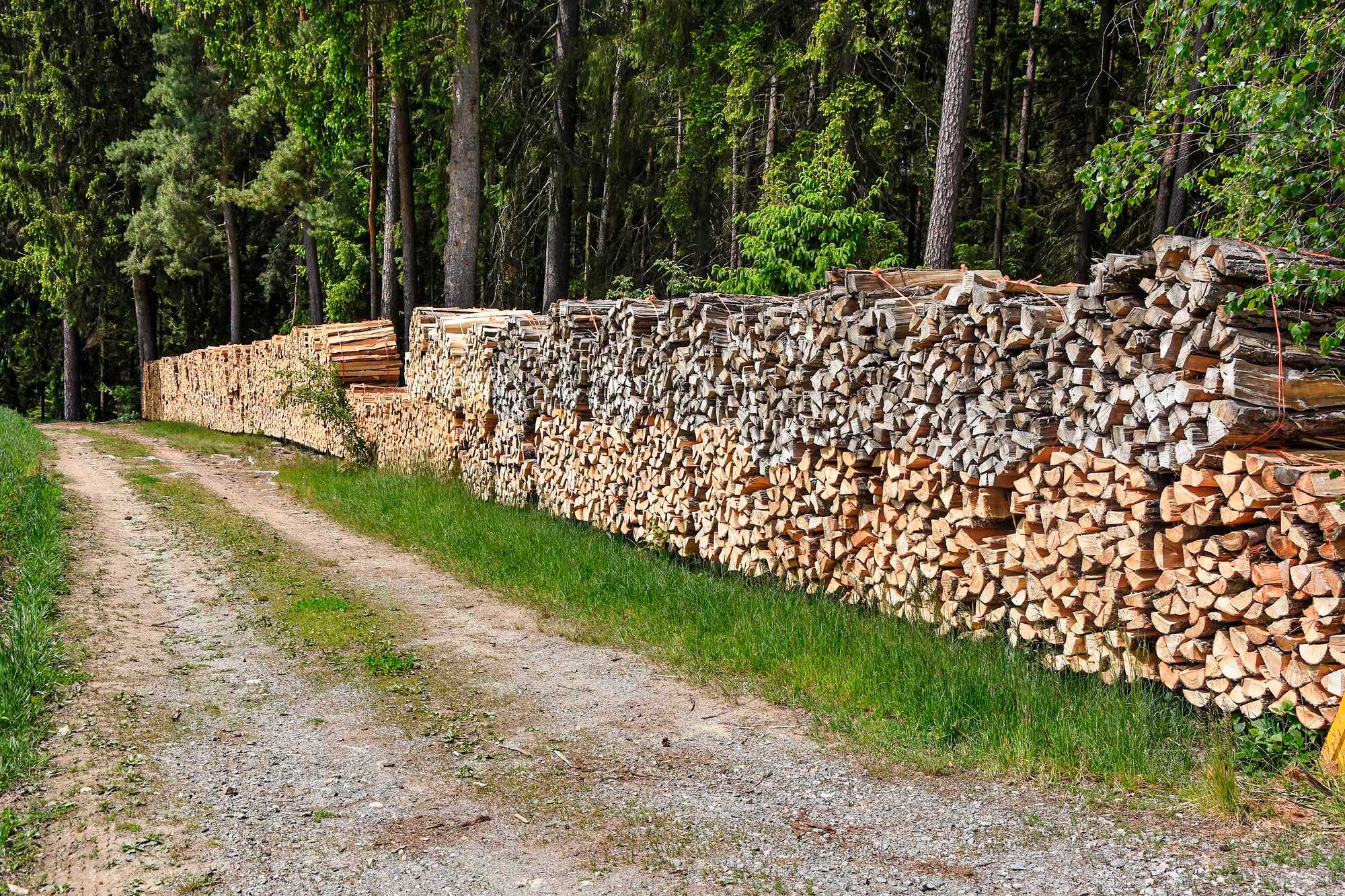 Was kostet das Brennholz? Bayerisches Landwirtschaftliches