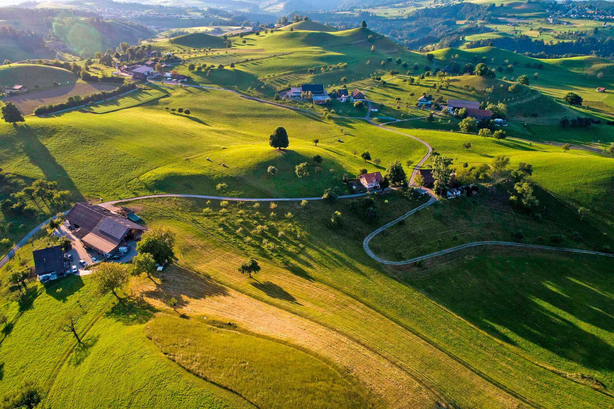 Kaum Wandel in der Schweiz Bayerisches Landwirtschaftliches