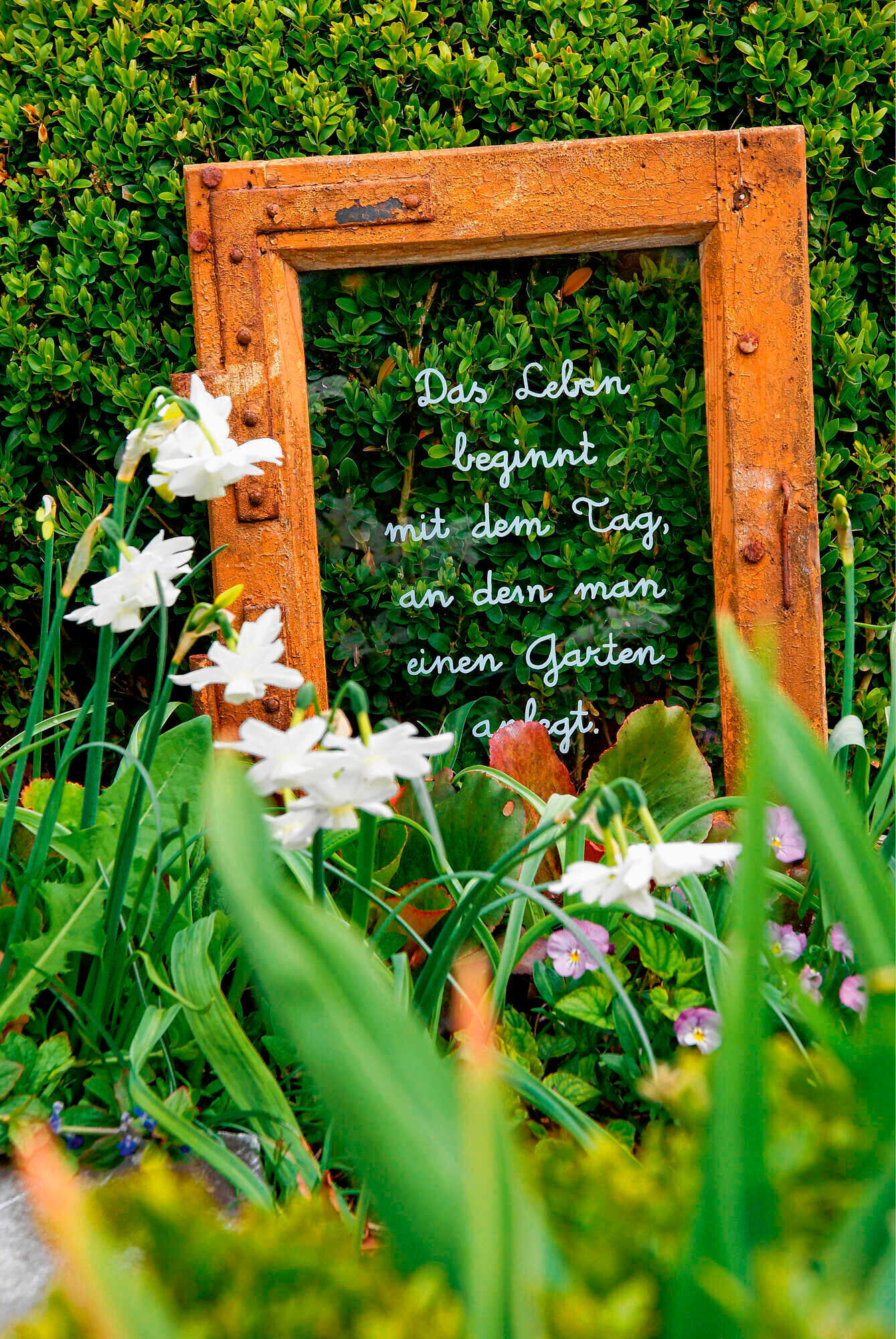 Poesie und flotte Sprüche Bayerisches Landwirtschaftliches