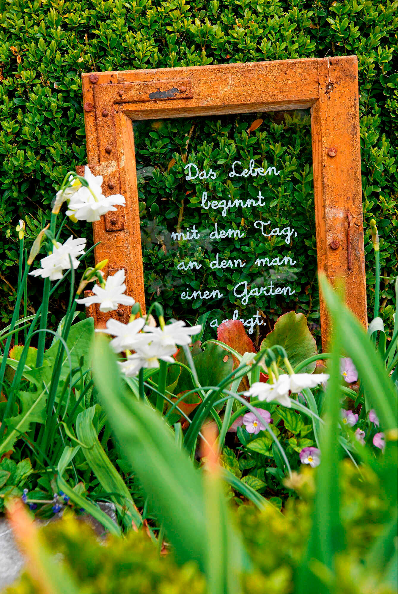 Poesie und flotte Sprüche BLW 62022