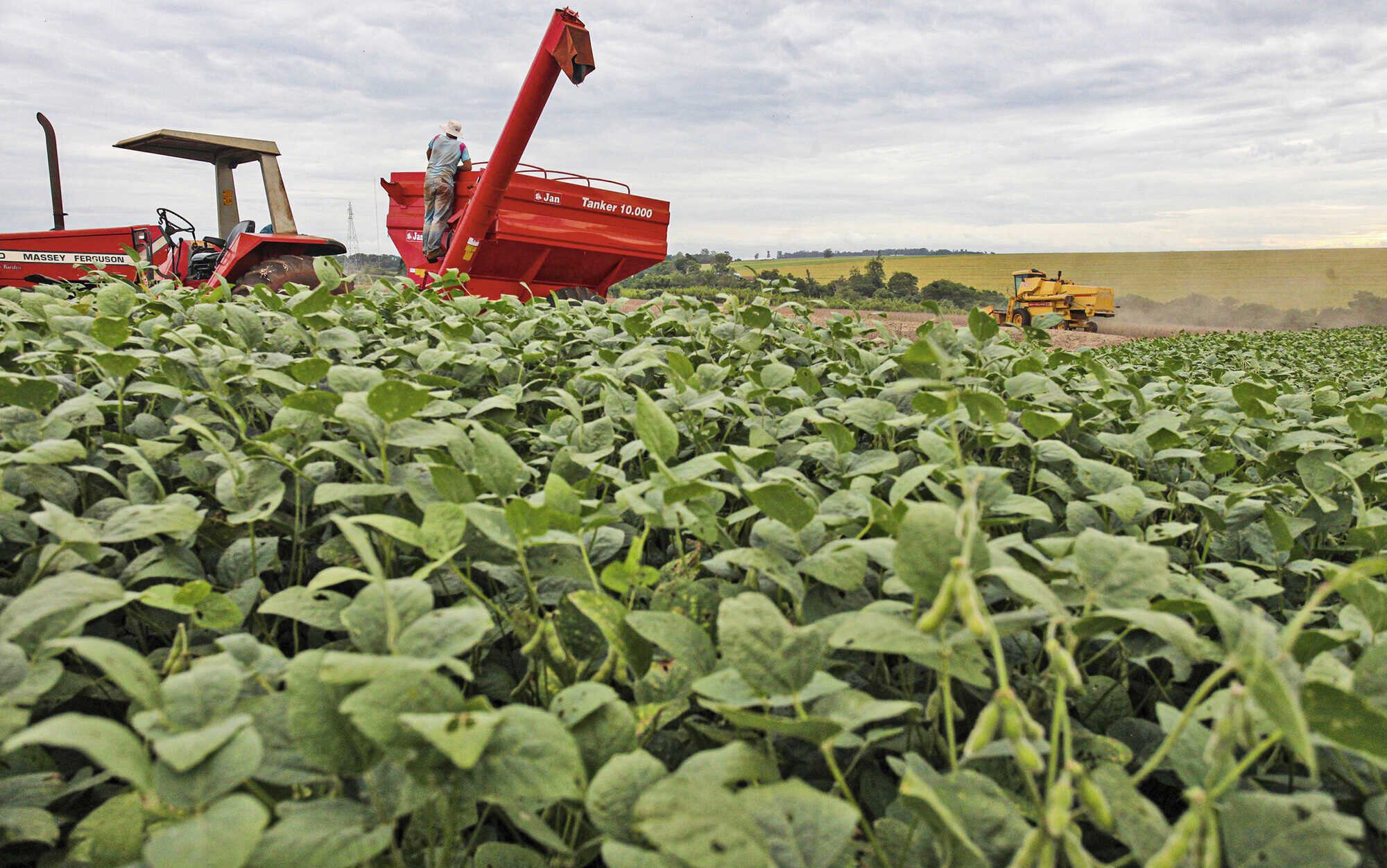 Die Börse blickt zum Himmel Bayerisches Landwirtschaftliches