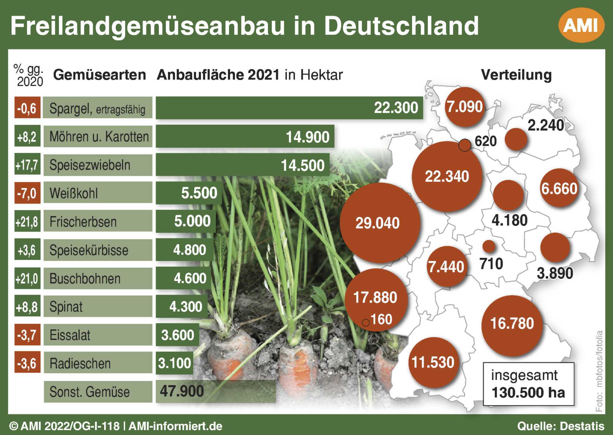 Mehr Zwiebeln und Möhren im Freilandanbau Bayerisches