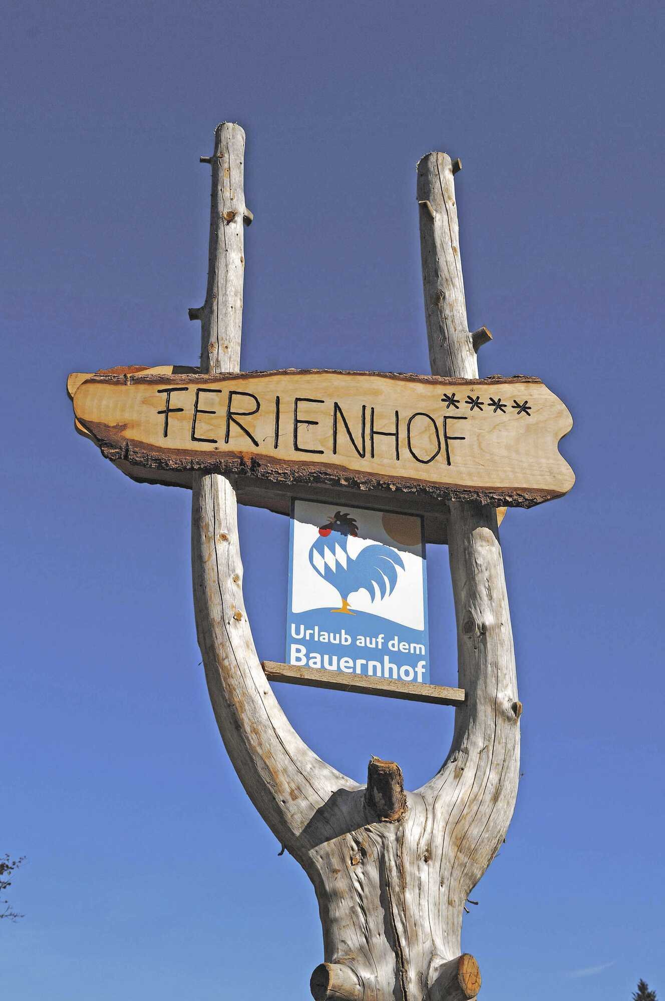 Blauer Gockel ist Gold wert - Bayerisches Landwirtschaftliches ...