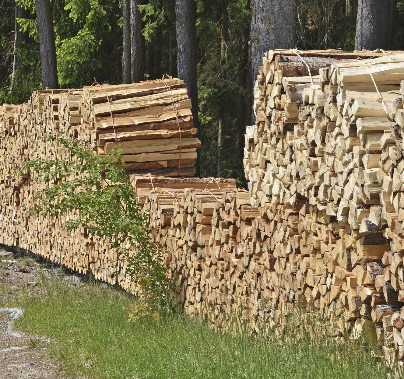 Was kostet das Brennholz? Bayerisches Landwirtschaftliches