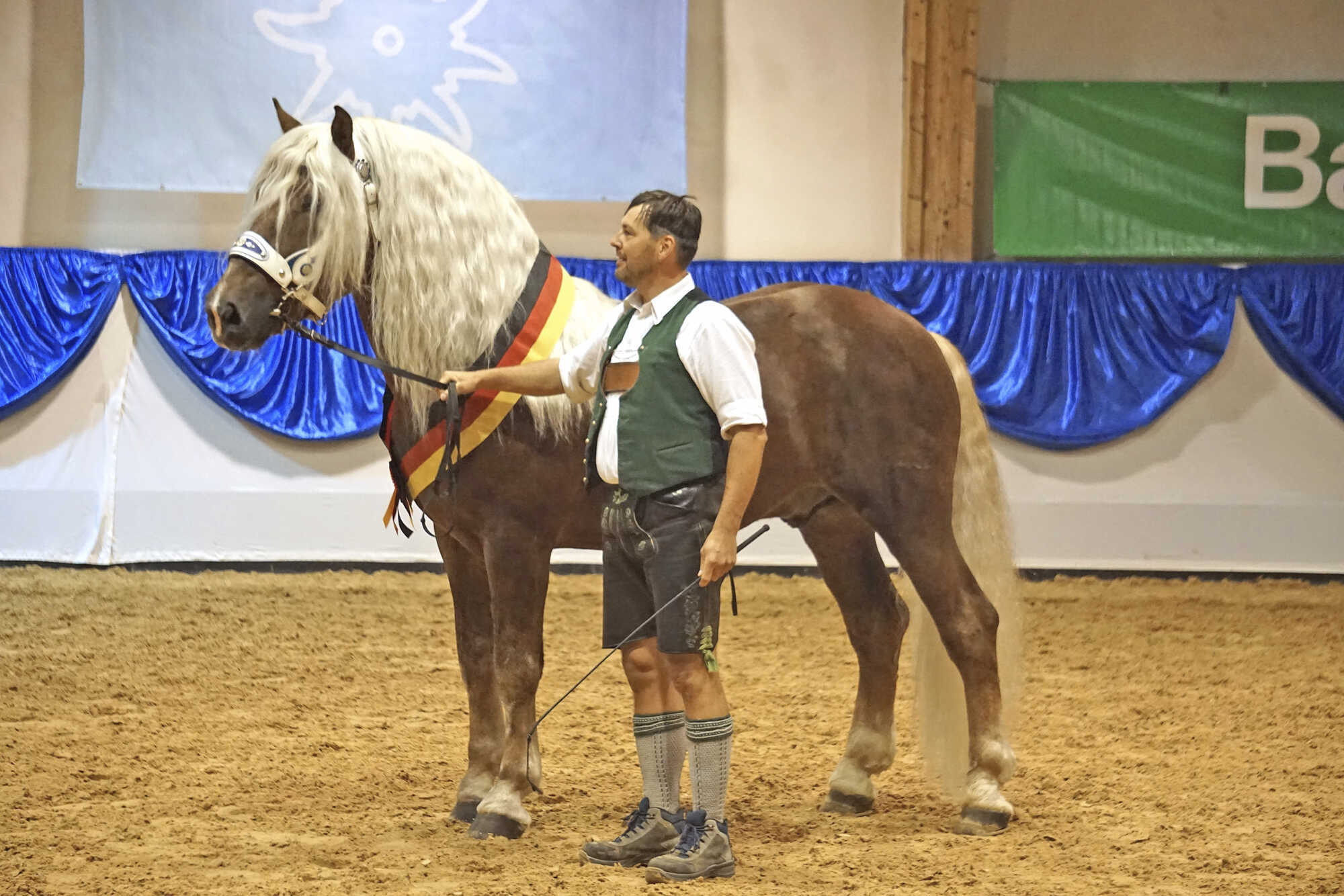 Hengstpräsentation der Kaltblüter und Haflinger - Bayerisches ... Hengstpräsentation der Kaltblüter und Haflinger - Bayerisches ...