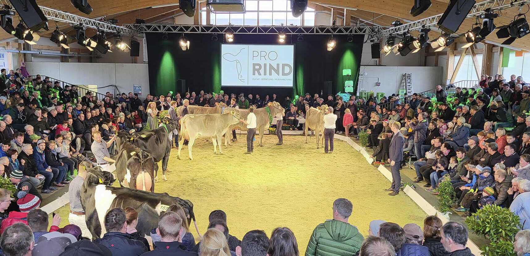 Braunviehkühe zur German Dairy Show anmelden Bayerisches Landwirtschaftliches Wochenblatt 142023