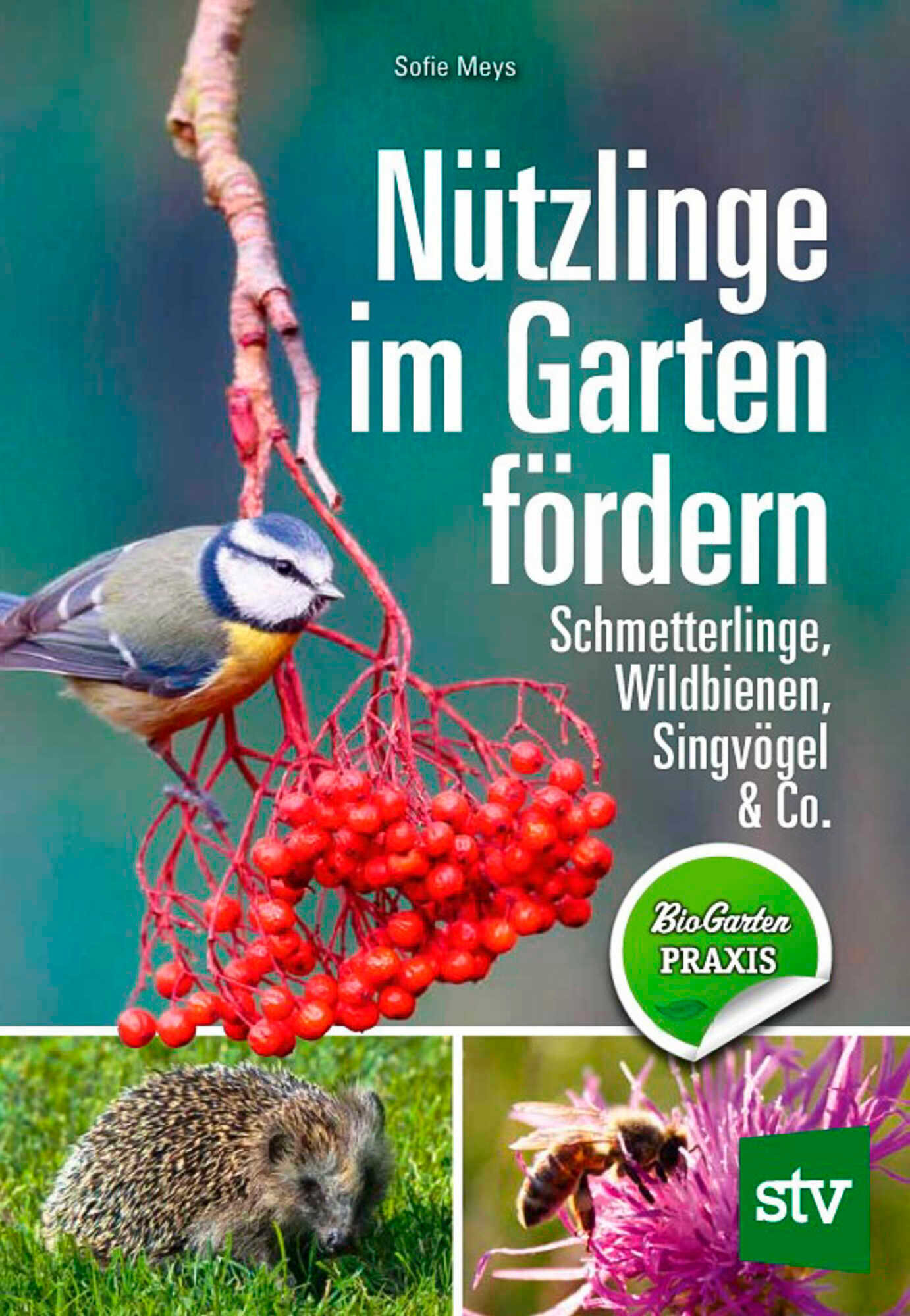 Nützlinge im Garten fördern bienen&natur 102021