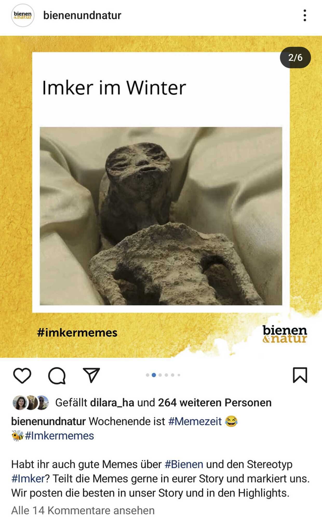 ImkerWitze auf Instagram bienen&natur 32024