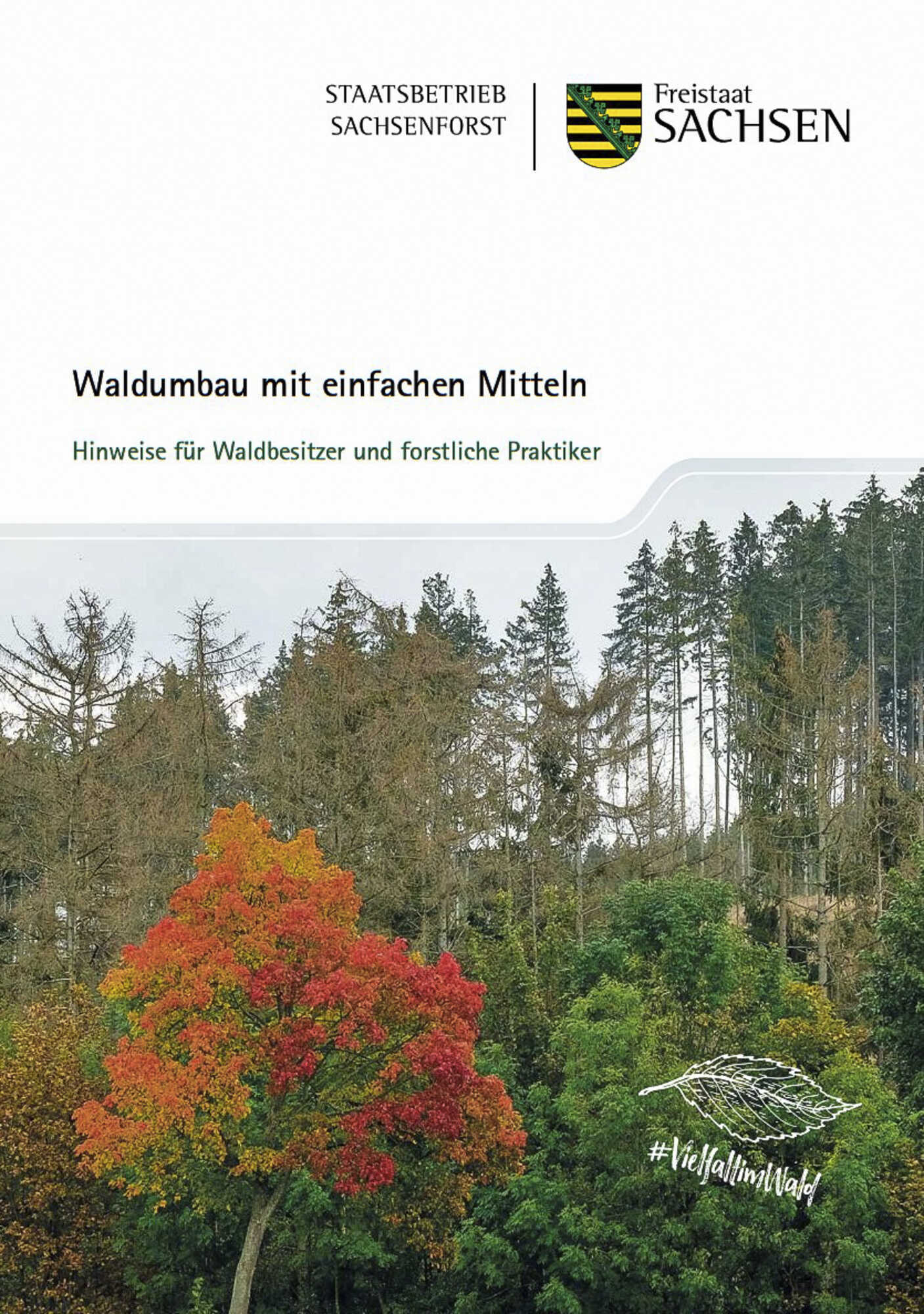Waldumbau mit einfachen Mitteln - Forst&amp;Technik 8-2023