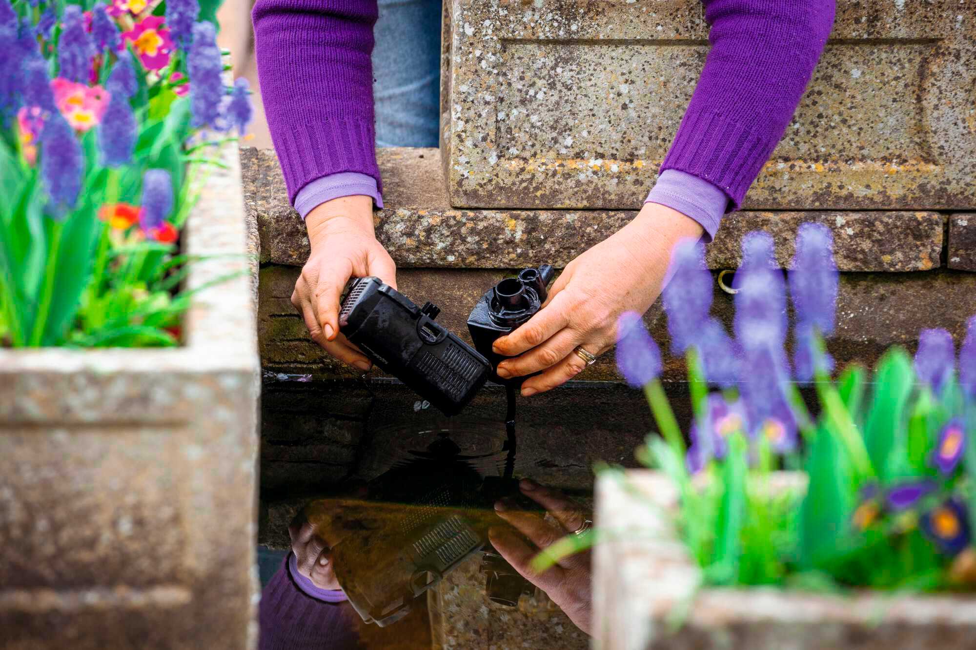 Saisonstart am Gartenteich kraut&rüben 42021