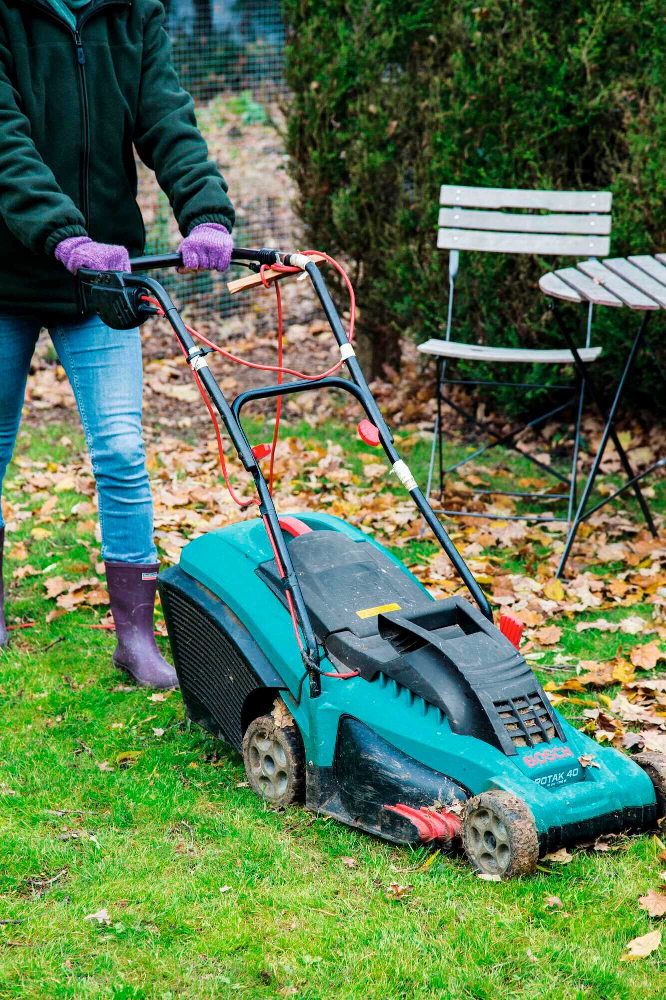 Rasenpflege im Herbst kraut&rüben 102021