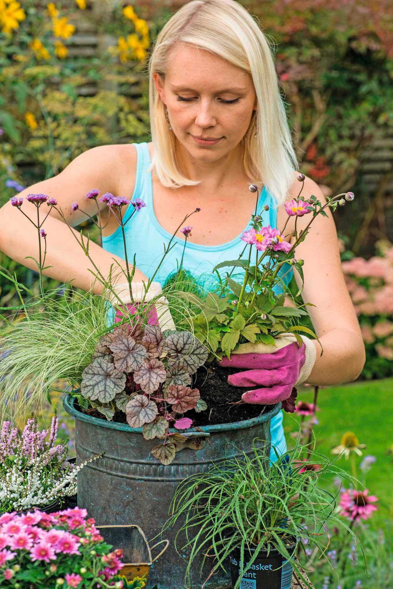 Späte Pracht: Herbstschalen bepflanzen - kraut&amp;rüben 11-2021