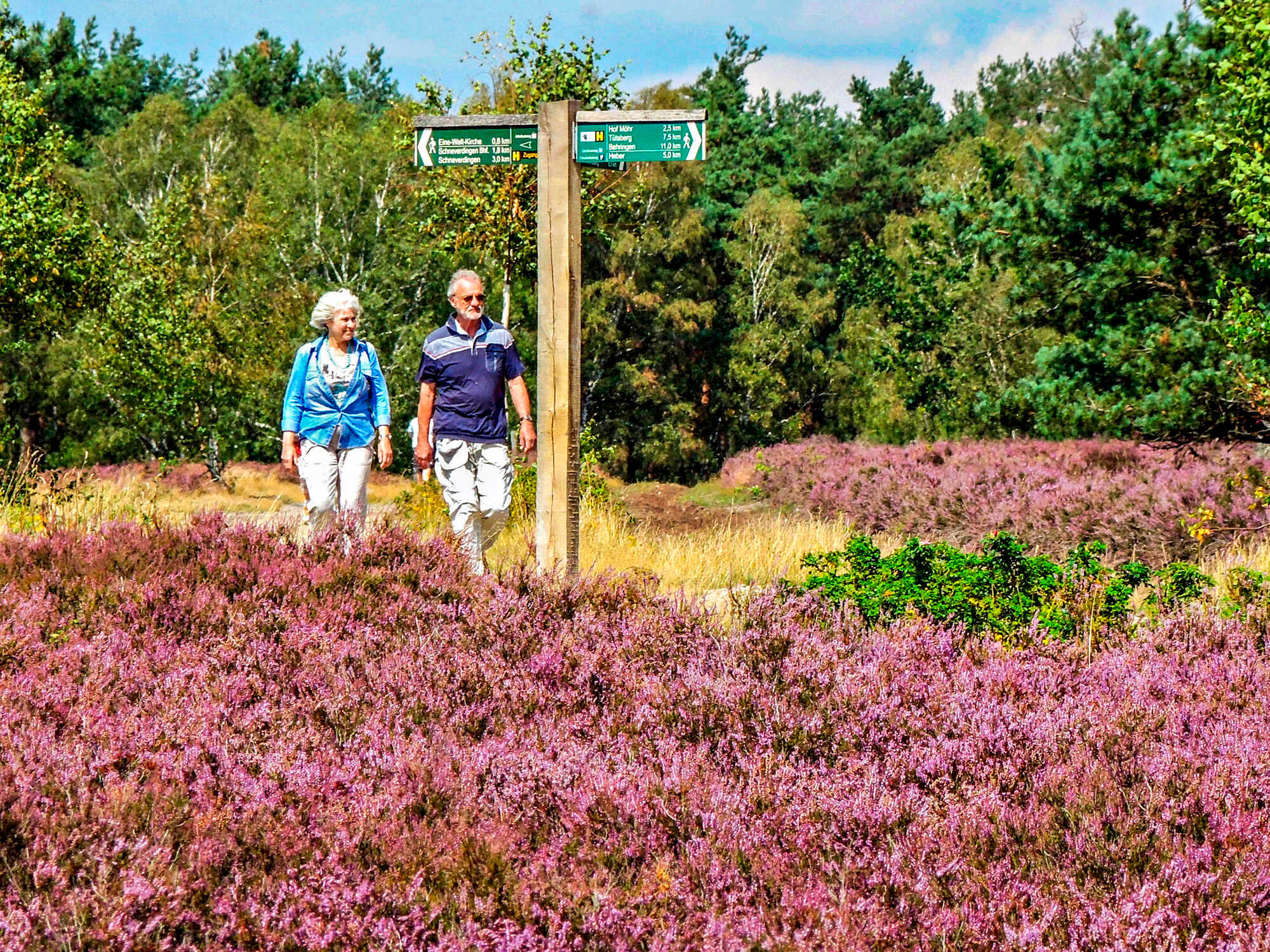 23.480 Hektar Heide werden FFHGebiet LAND & FORST 102021