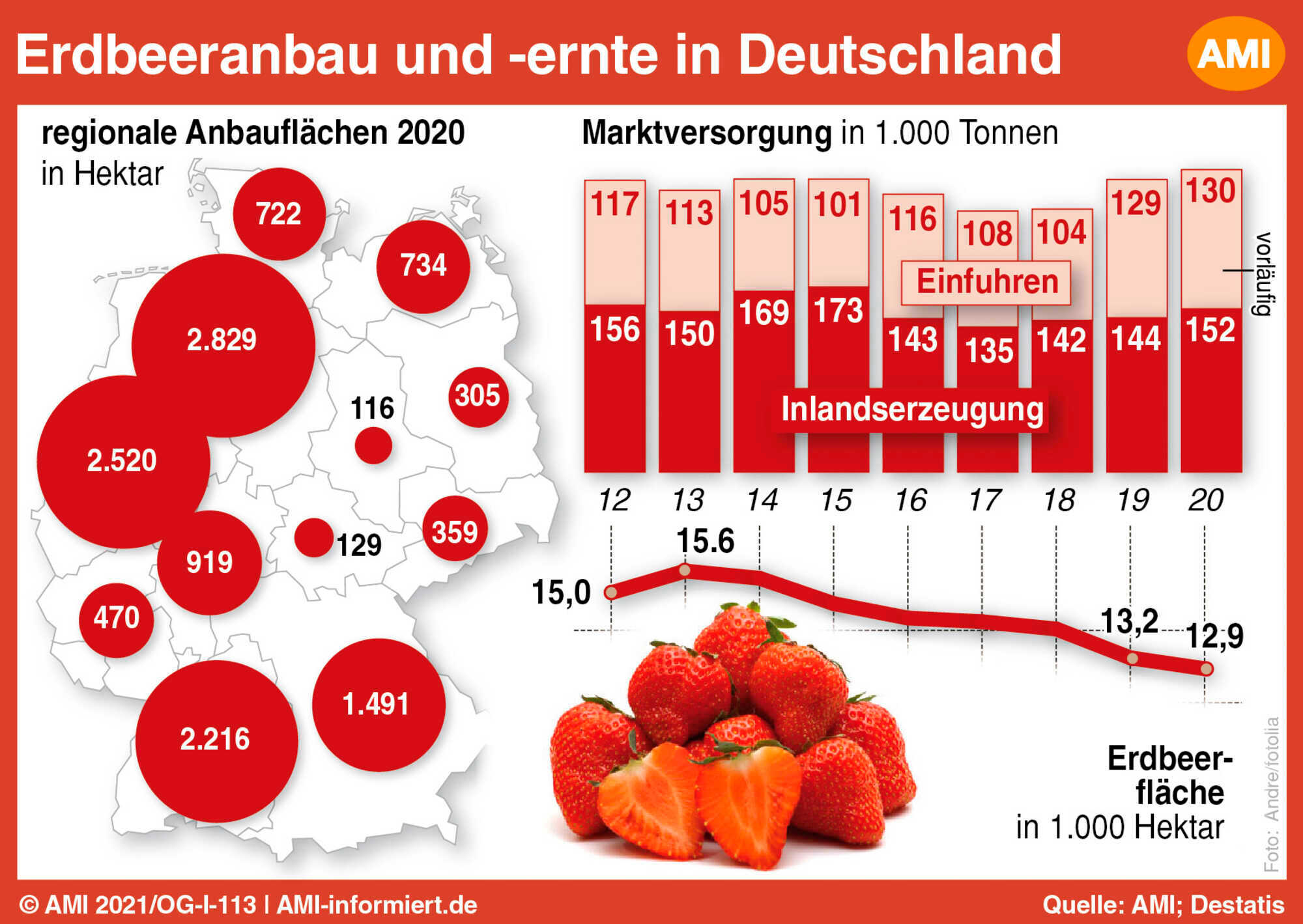 Erdbeeranbau im Wandel LAND & FORST 262021