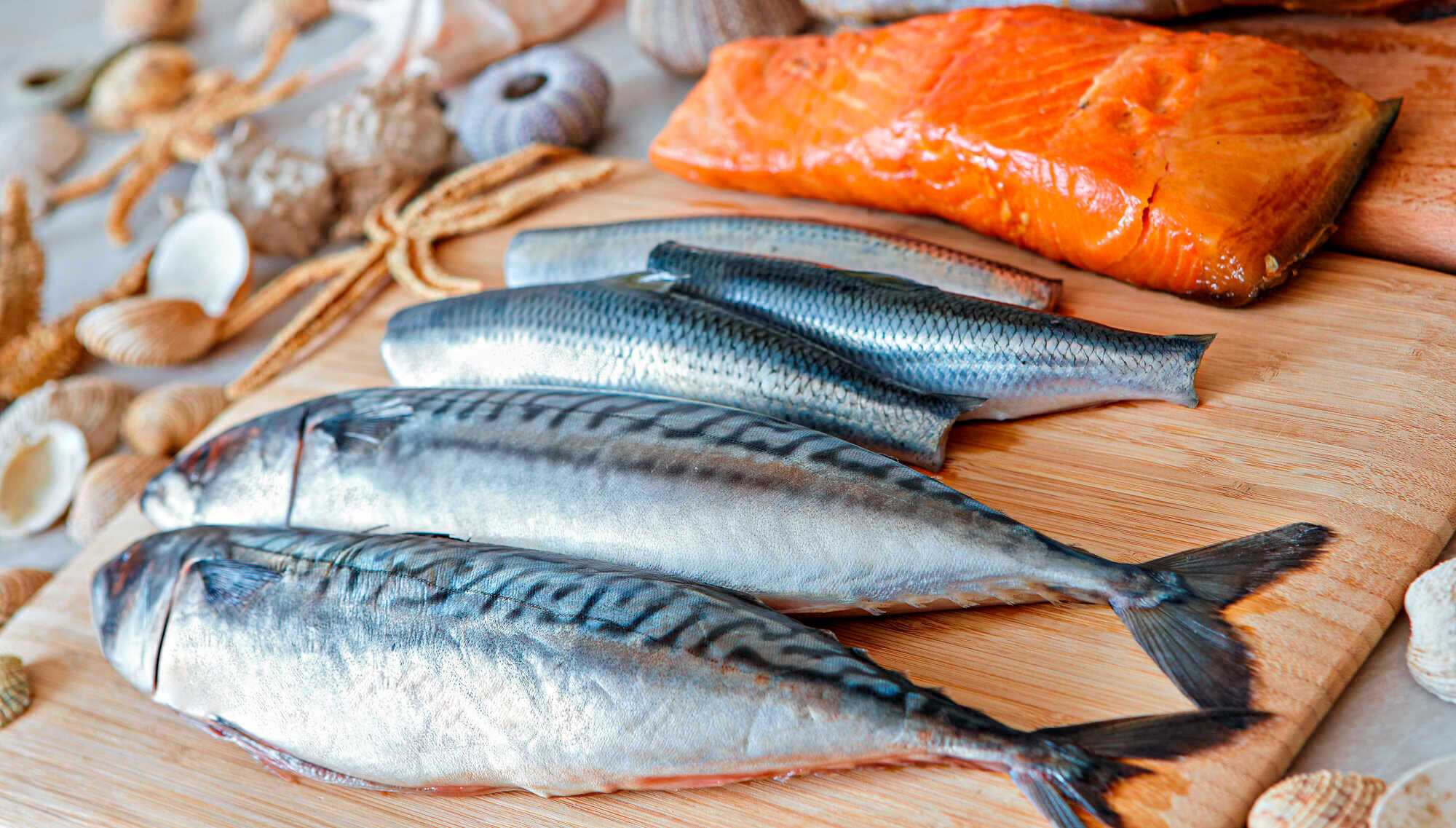 Omega3Fettsäuren unverzichtbar LAND & FORST 272021