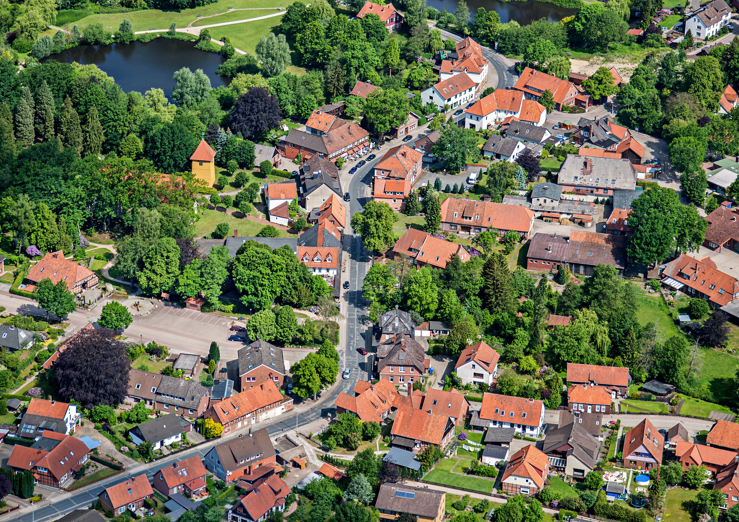 Kennen Sie unsere Heimat? LAND & FORST 312022