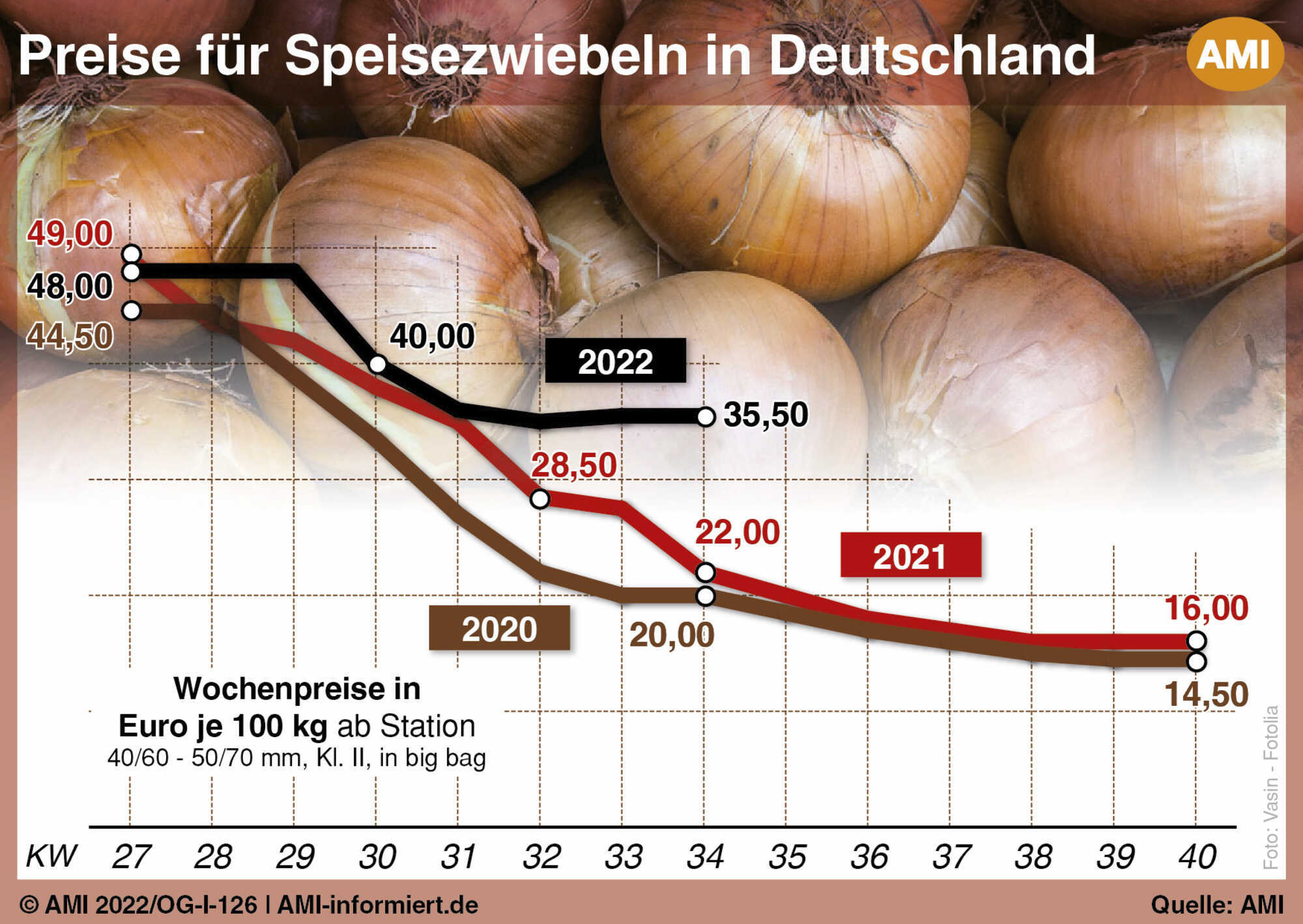 Feste Preise für Speisezwiebeln - LUF 35-2022