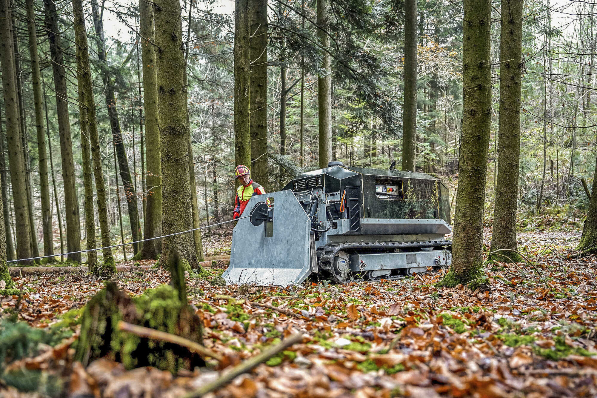 Tuning-Tipps für Forst-Equipment: Gut gerüstet in den Wald