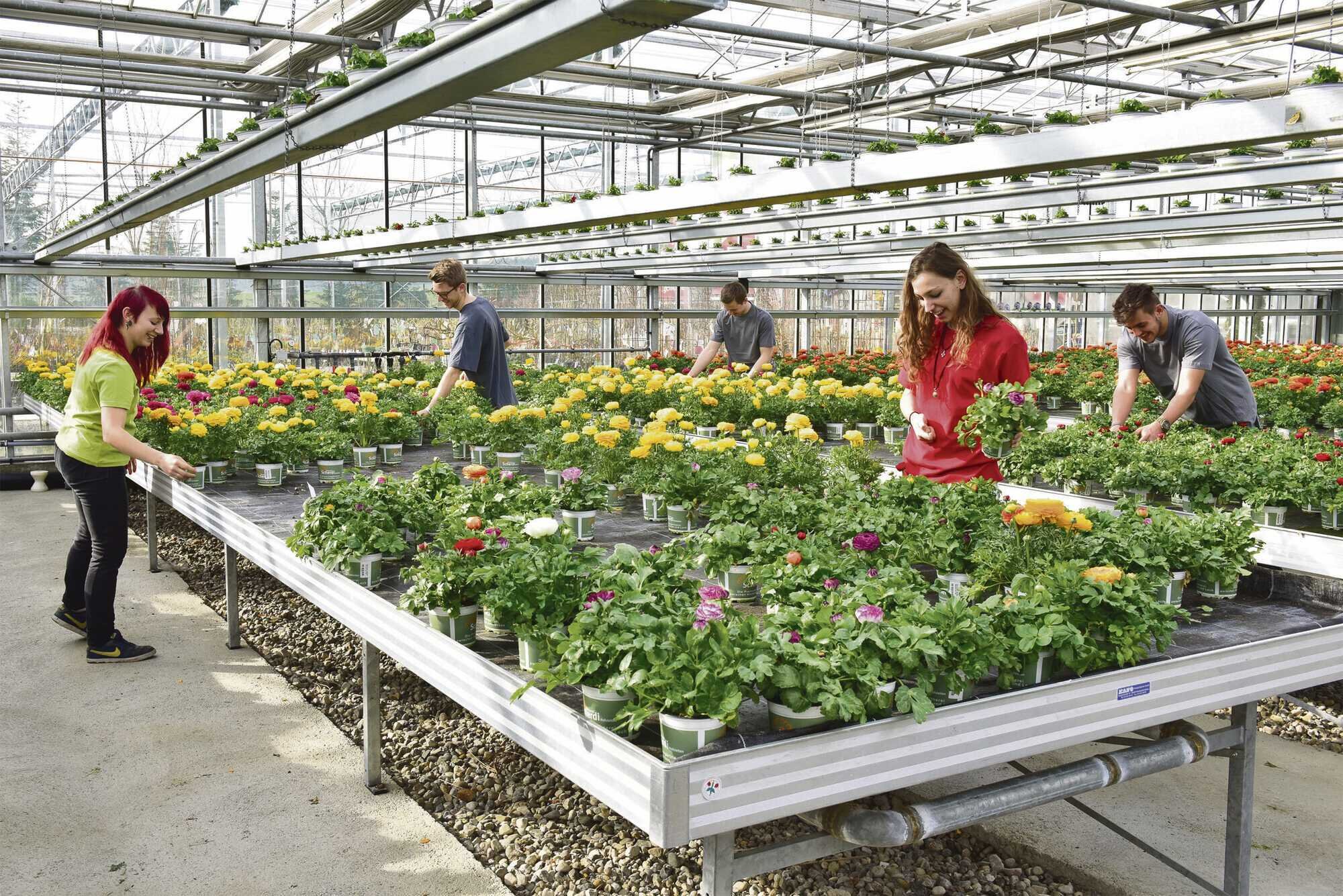 Gärtnerinnen und Gärtner Arbeiten im Einklang mit der Natur LAND
