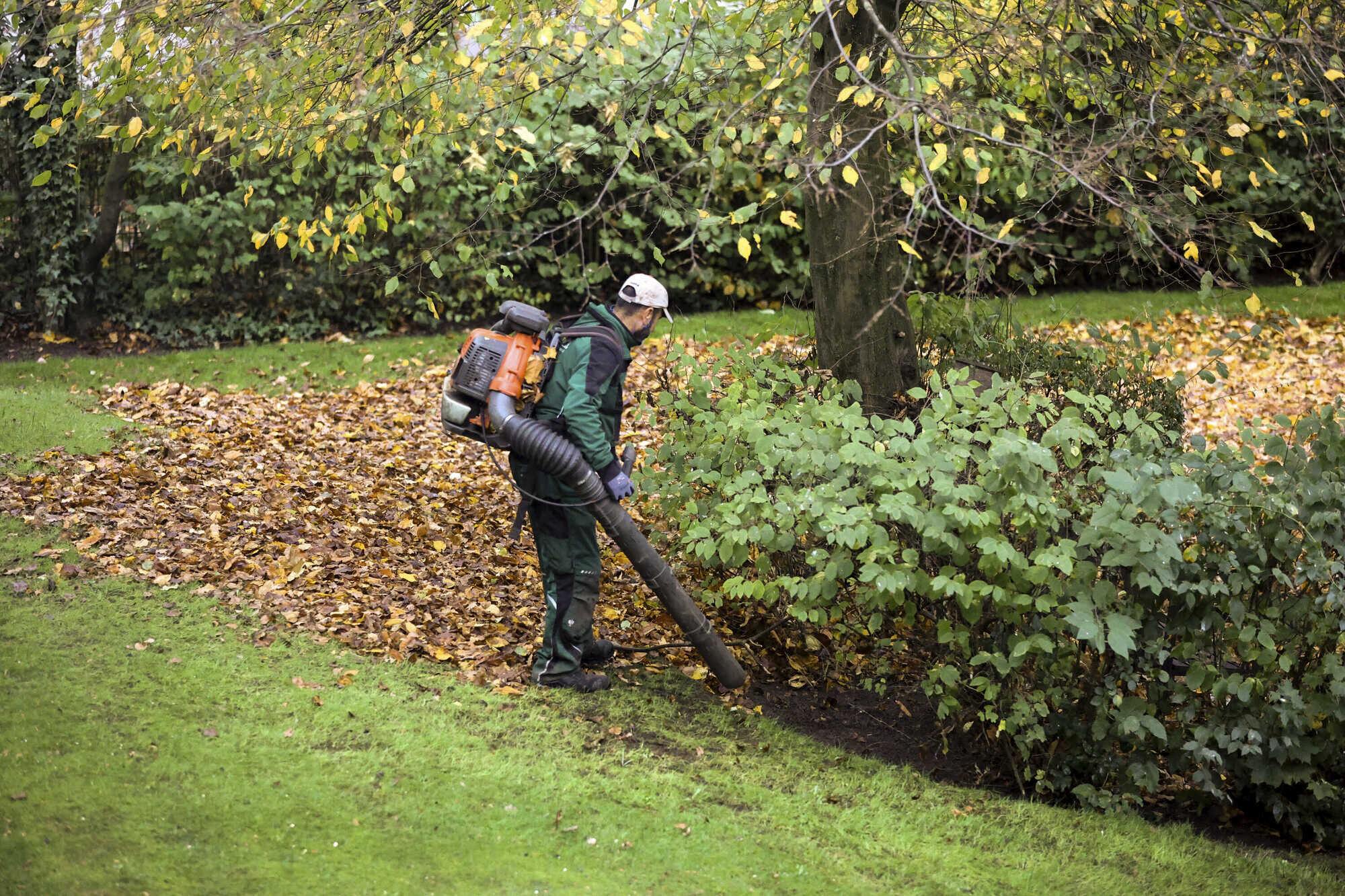 Gartenarbeit von der Steuer absetzen LAND & FORST 412023