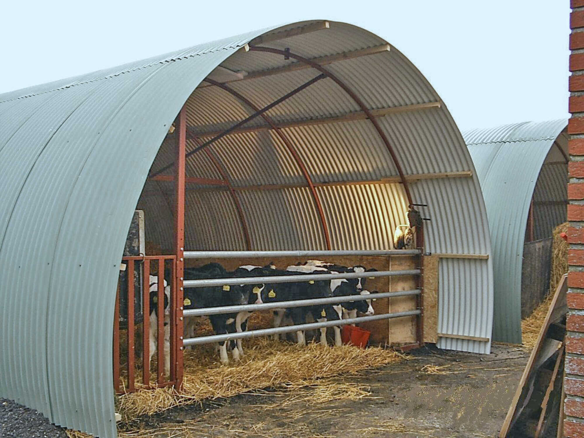 Rundbogenhalle als mobiler Stall für Kälber LAND & FORST 42024
