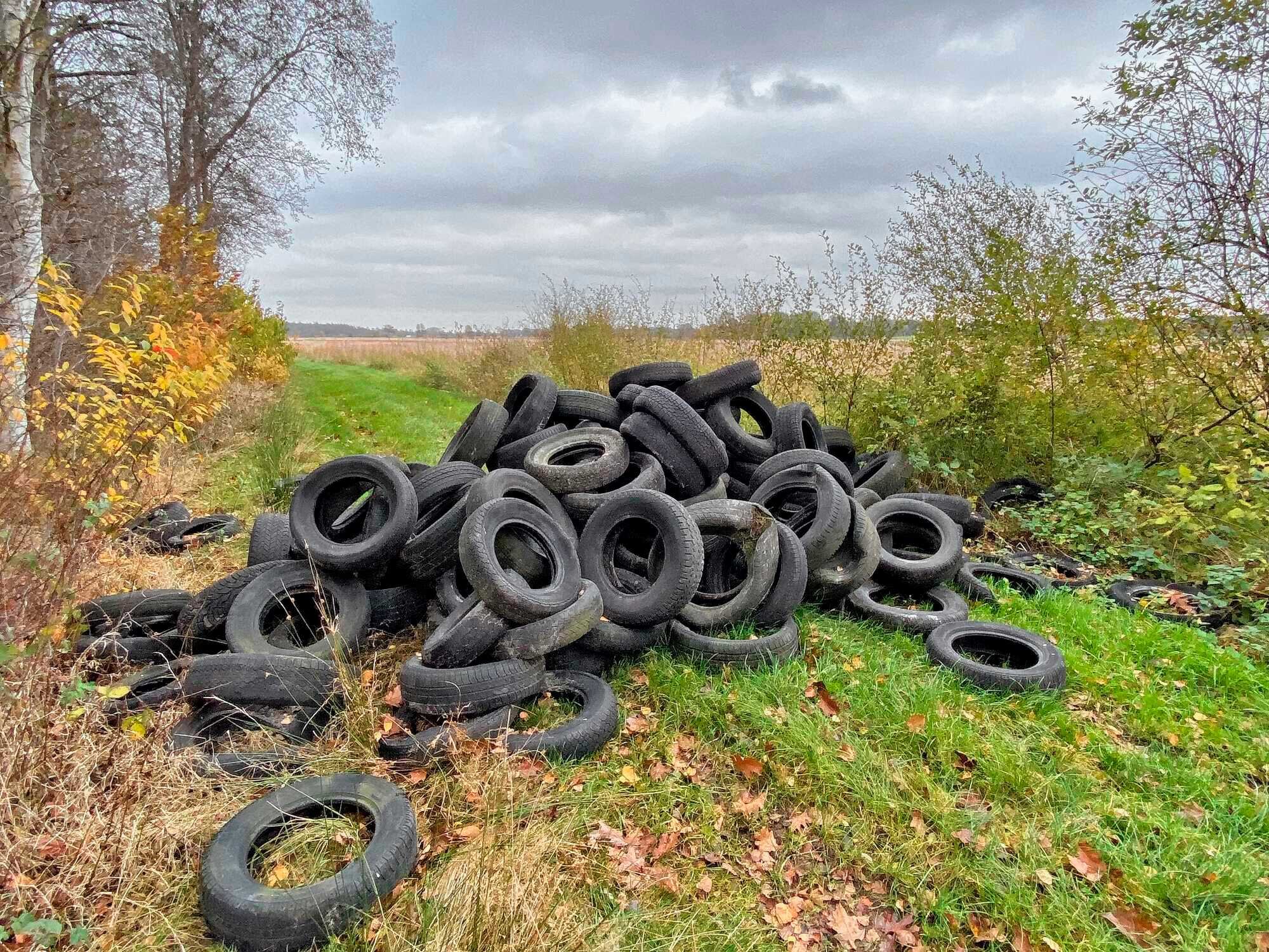 Wo Können Altreifen Entsorgt Werden Altreifen illegal entsorgt - Niedersächsischer Jäger 24-2021