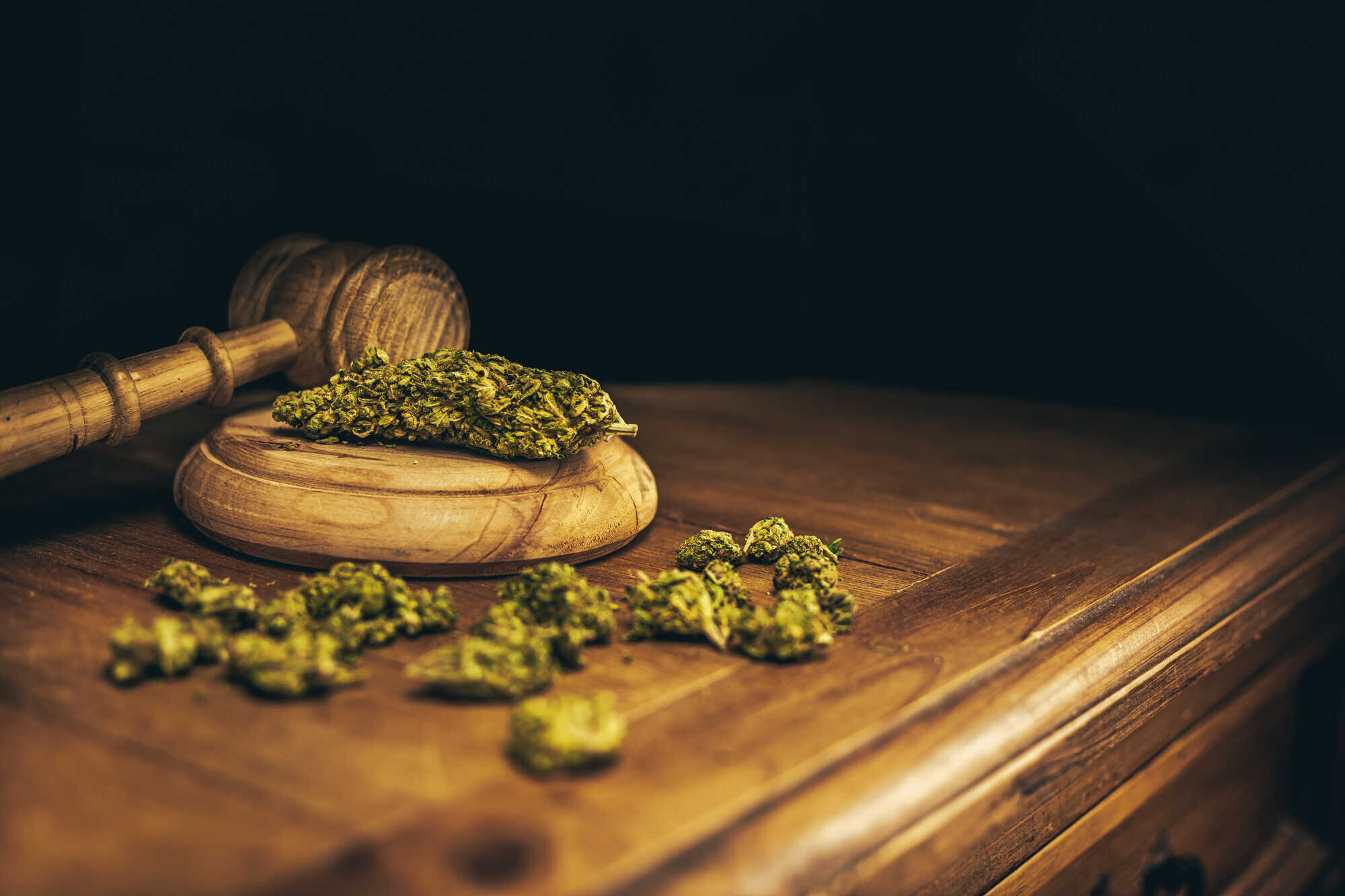 FOTOMONTAGE, Wegweiser Cannabis und Legalisierung mit
