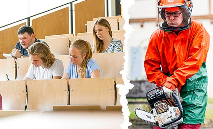 Kombinierte Ausbildung in der Forstwirtschaft | © HFR