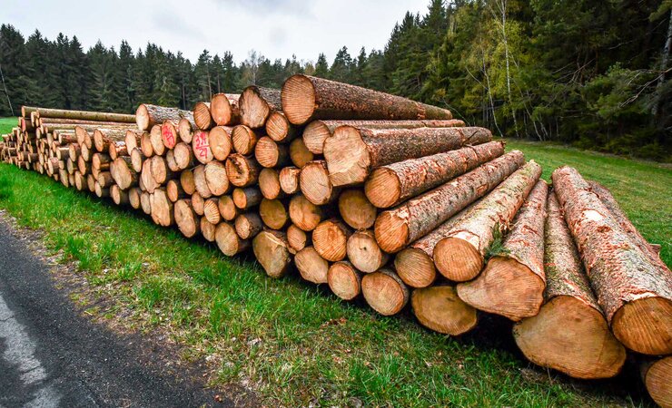 Die Preise für Fichtenrundholz in Österreich haben zuletzt nachgegeben und liegen zumeist unter 110 €/Fm. | © Marc Kubatta-Große