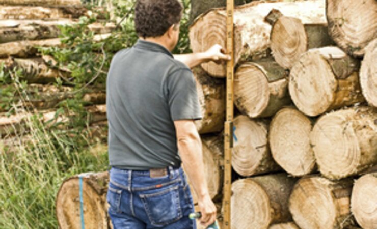 Grund für die Klage gegen das Land NRW war die frühere gemeinsame Holzvermarktung von Waldbesitzenden und Forstverwaltung. | © G. Rohde/stock.adobe.com