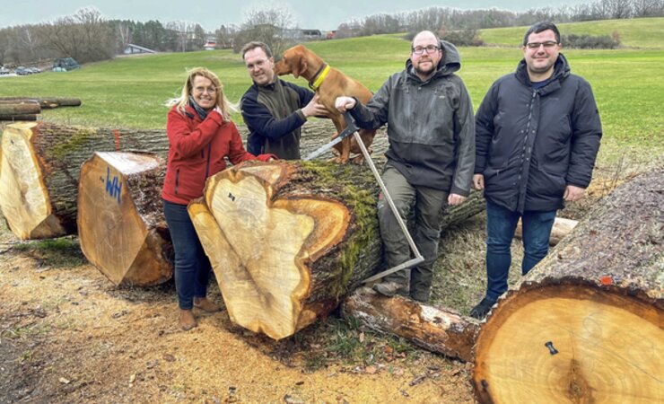 Die Eiche hat bei der Submission Sailershausen kräftig zugelegt. Hier die Braut der Submission auf dem Lagerplatz Ebern mit v. l.: Birgitt Ulrich, Geschäftsführerin FV Unterfranken, Marcel Waffler, Förster FBG Haßberge, Fabian Dinkel, Forstlicher Betreuer des Privatwaldes, Dirk Sauerteig, Vorstand Waldkörperschaft Fischbach. | © B. Ulrich, FV Unterfranken