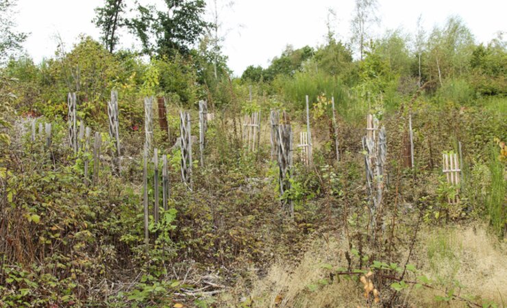 Abb. 1: Das Waldbildungszentrum Hachenburg in Rheinland-Pfalz testet Einzelschutzsysteme aus Holz auf ihre Tauglichkeit in der Praxis | © M. Reetz