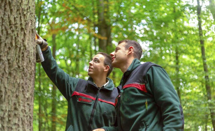 Absolventen des dualen Forststudiums: Philipp Kocherscheidt und Jannik Luttmann arbeiten beide am liebsten direkt im Wald. | © NLF/HAWK Göttingen