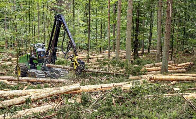 Im Randbereich des Nationalparks Bayerischer Wald kommen aktuell vier Debarking-Harvester zum Einsatz, die Fichten nicht nur umschneiden, sondern im selben Schritt auch gleich entrinden. | © Nationalpark Bayerischer Wald