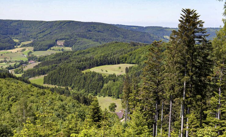 Abb. 2: Mittlerer Schwarzwald | © M. Beck