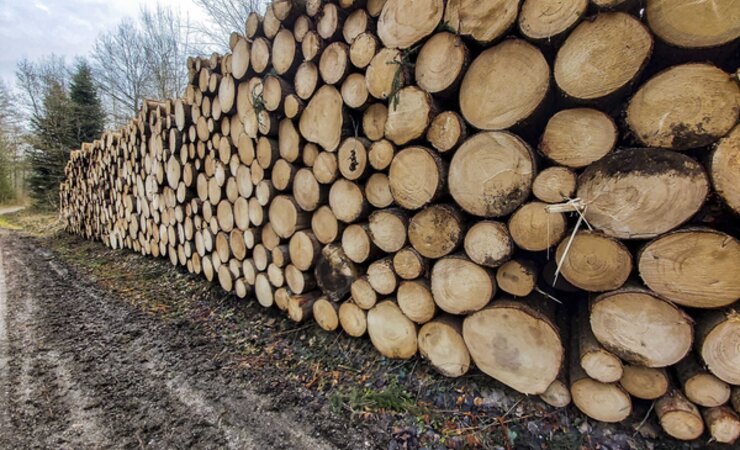 Trotz der sich verschärfenden Baukrise hat der Preis für Fichtensägerundholz Anfang 2024 zugelegt. | © M. Kubatta-Große