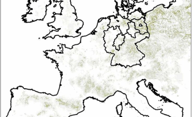 Abb. 1: Aktuelle Verbreitung der Wald-Kiefer (grün; de Rigo et al. 2016) in Europa, Deutschland und den untersuchten Bundesländern | © Quelle: GeoBasis-DE/BKG (2022) &amp; EEA (2018)