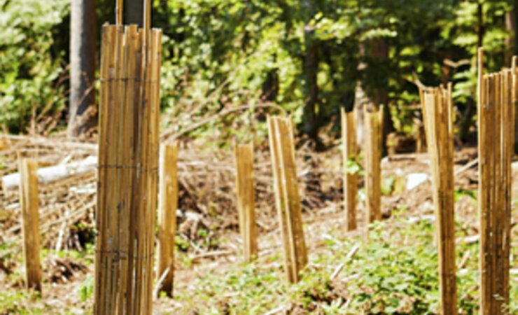 Die TOKO-TOKO-Schutzhüllen und ihre einzelnen Bestandteile sind langlebig und ökologisch abbaubar. | © TOKO TOKO