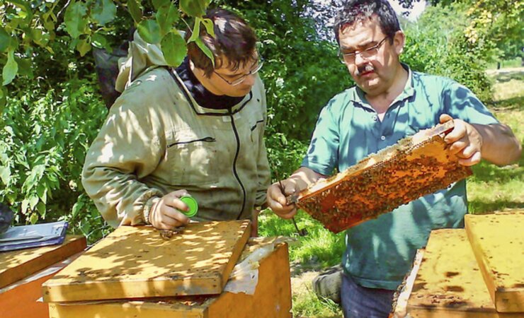 Probenahme für das Bienenmonitoring. | © Schönenberger