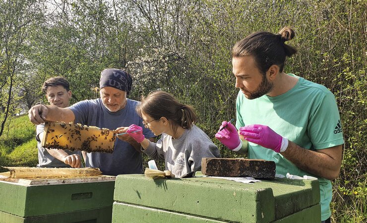 Probennahme an den Bienenstöcken. | © Jakob Härer