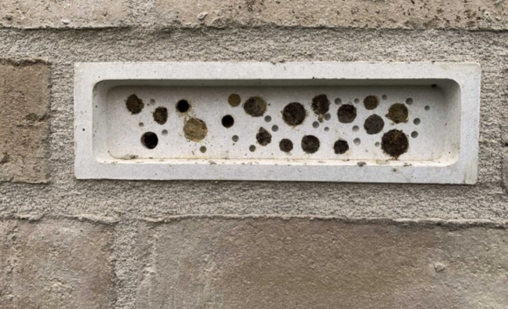 Dieser Bee Brick in einer Hauswand in Hannover ist komplett ausgebucht. | © Marek Worm