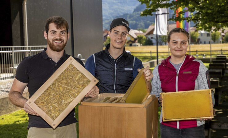 Waren bei der Entwicklung der natürlichen Dämmplatten für Bienenstöcke dabei (v.l.): FH-Student Joshua Fischer und die Schüler Michael Aberger und Kathrina Fersterer von der HBLA Ursprung. | © Franz Neumayr/HBLA Ursprung